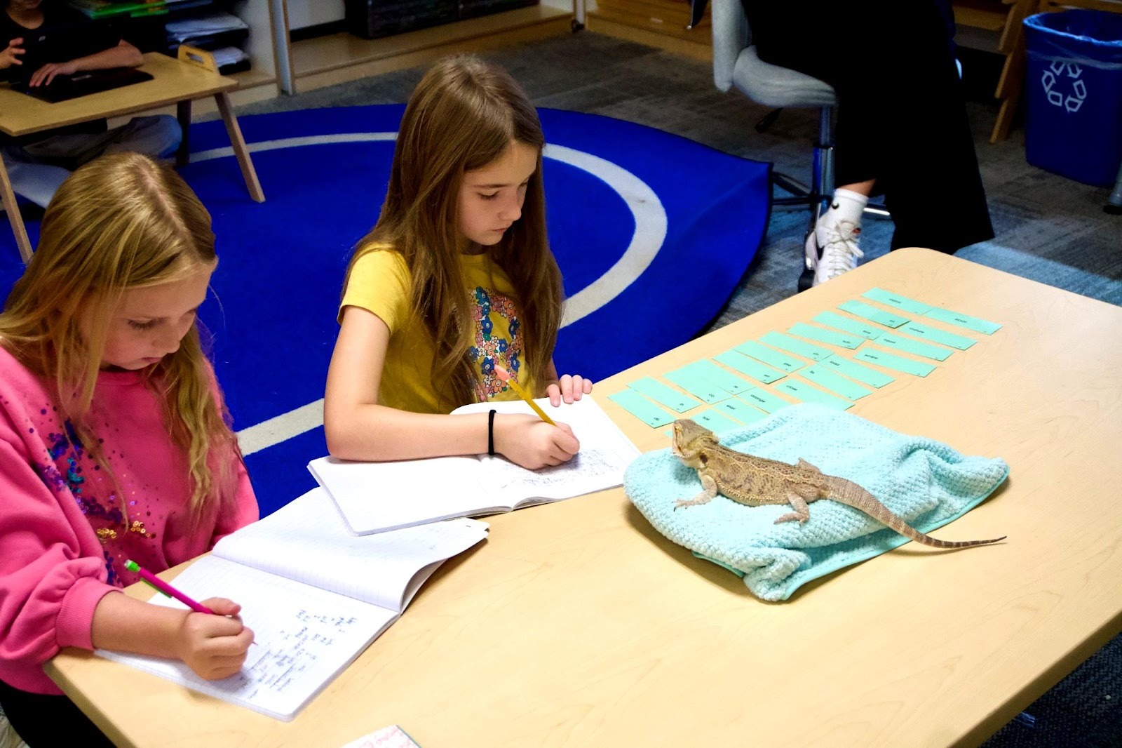 Why Project-Based Learning Schools Are Growing in Utah County