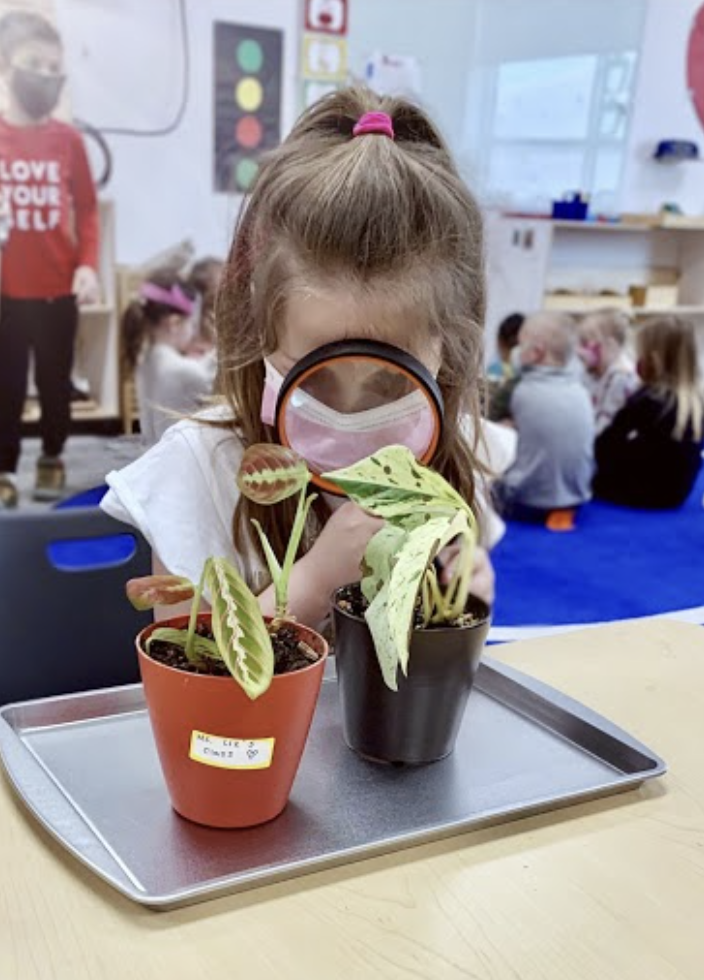 What Is Project-Based Learning? A Simple Guide for Parents